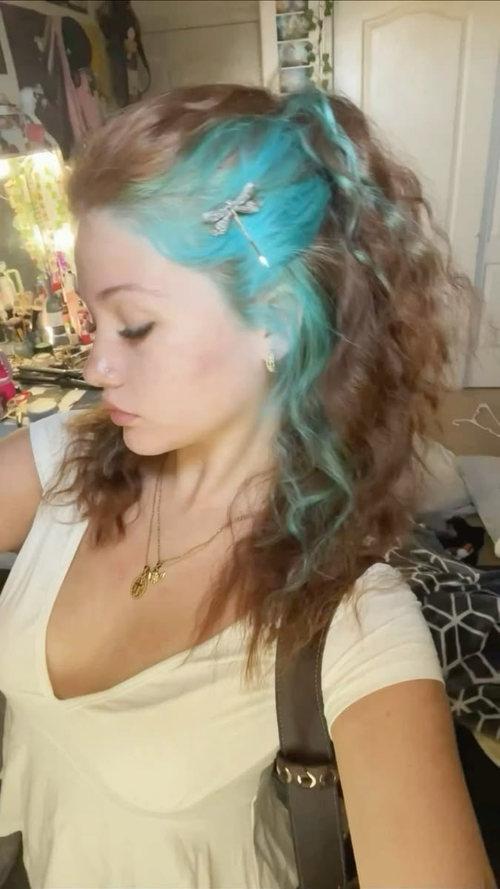 Dragonfly hair clip in curly blue and brown hair